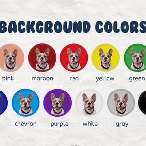 Pu&ograve; includere: Un grafico che mostra 10 diverse opzioni di colore di sfondo per un ritratto personalizzato di animali domestici. I colori sono rosa, marrone, rosso, giallo, verde, blu, chevron, viola, bianco, grigio e nero.