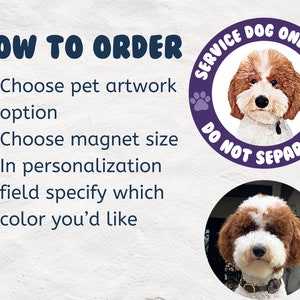 Pu&ograve; includere: Un magnete circolare viola con un bordo bianco e il testo "Service Dog Onboard Do Not Separate" in bianco. Il magnete presenta un'illustrazione di un cane marrone e bianco con un collare marrone.