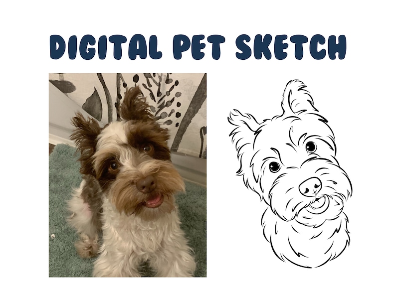 Digital Pet Outline SIMPLE Dog Cat Vector Line Out Drawing, Pet Sketch, Pet Drawing, Wedding Pet Art, Pet Memorial, Simple Pet Sketch image 1