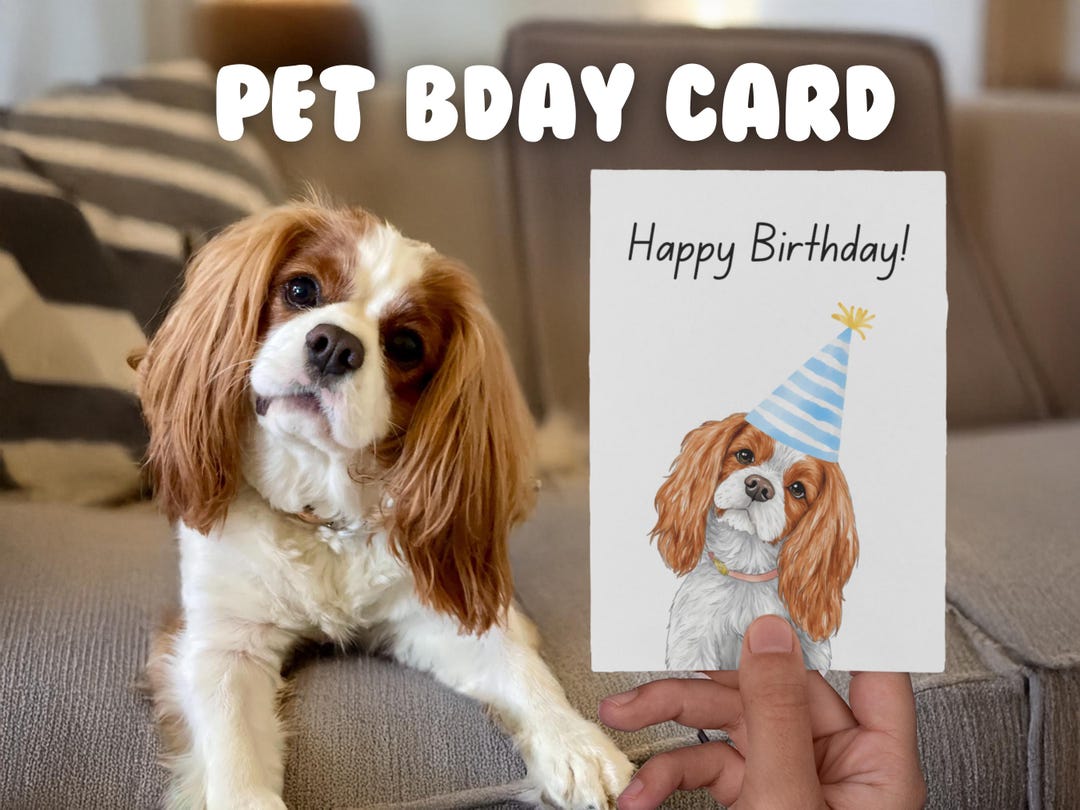 Custom Pet Birthday Card (1, 10, 30, 50 Pack) Custom Pet Portrait, Dog ...