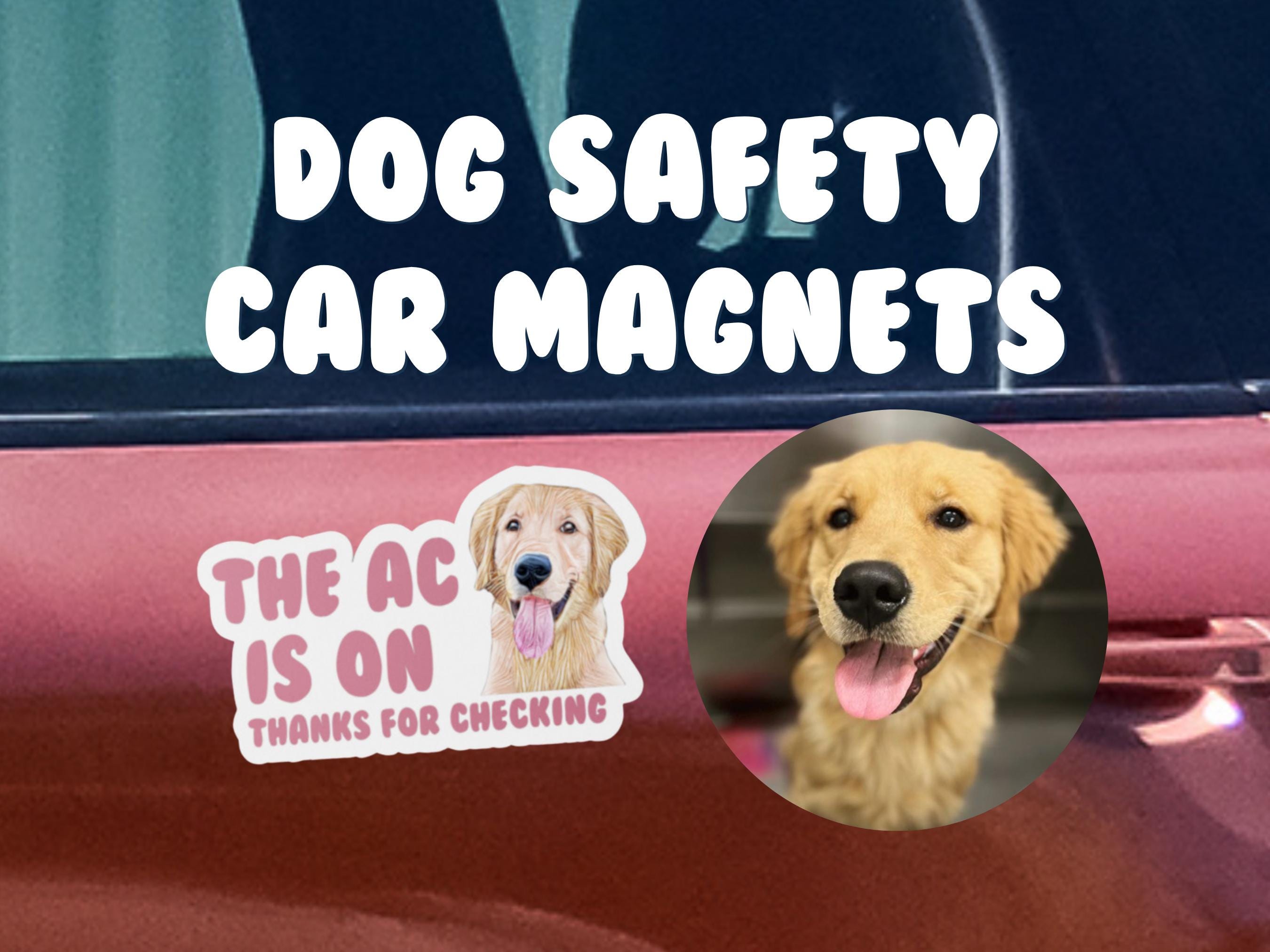 Custom Sketched Pet Car Safety Magnet - Let Other's Know Your Dog Is Comfortable in the Car with AC on! Pup Summer Car / AC Magnet