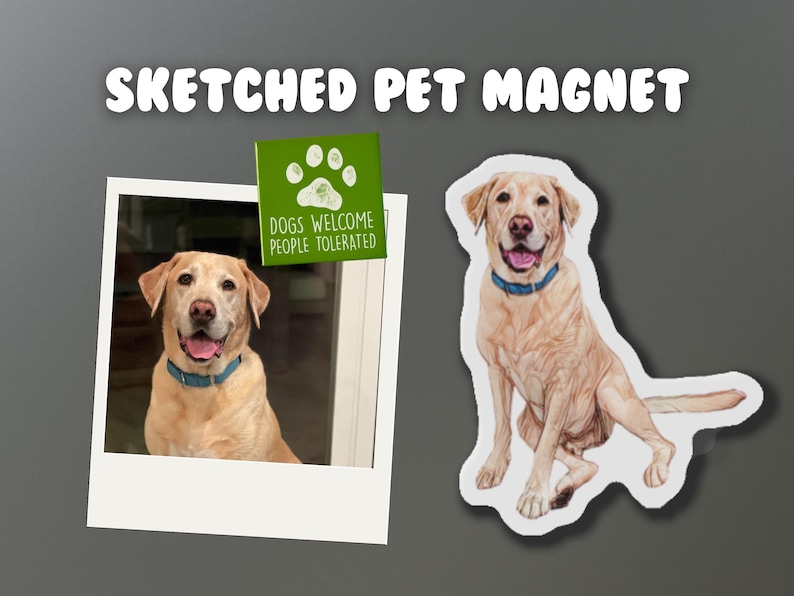 May include: A sketched pet magnet featuring a light brown Labrador Retriever sitting with its tongue out. The magnet is on a grey background with the text "SKETCHED PET MAGNET" above the magnet. A small green sticker with a paw print and the text "DOGS WELCOME PEOPLE TOLERATED" is in the top left corner of the image.