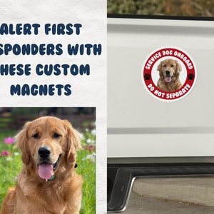 Pu&ograve; includere: Un'auto bianca con un magnete circolare rosso che dice "Service Dog Onboard Do Not Separate" con un'immagine di un golden retriever all'interno del cerchio.