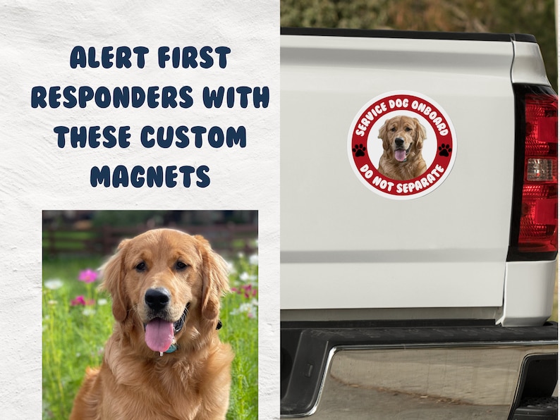 Pu&ograve; includere: Un'auto bianca con un magnete circolare rosso che dice "Service Dog Onboard Do Not Separate" con un'immagine di un golden retriever all'interno del cerchio.