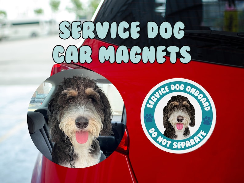 Pu&ograve; includere: Un'auto rossa con un magnete rotondo blu e bianco che dice "Service Dog Onboard Do Not Separate" con un'immagine di un cane all'interno. Il magnete &egrave; sul retro dell'auto. Il testo "Service Dog Car Magnets" &egrave; in grandi lettere blu nella parte superiore dell'immagine.