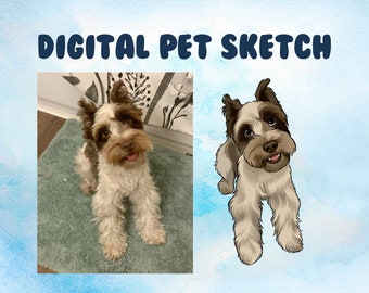 Cartoon Pet Illustration - Dog Cat Bunny Cartoon Art, Custom Pet Drawing, Dog Doodle, Wedding Art, Pet Profile Picture, Vector Color