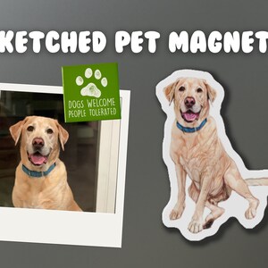 Custom Pet Magnet - Custom Pet Illustration, Pet Portrait, Pet Sketch, Dog Magnet, Cat Magnet, Custom Fridge Magnet, Custom Car Magnet