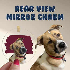 Custom Pet Rear View Mirror Charm - Pet Portrait Art, Dog Cat Bunny Illustration, Pet Car Ornament, Pet Sketch, Car Charm, Car Accessories
