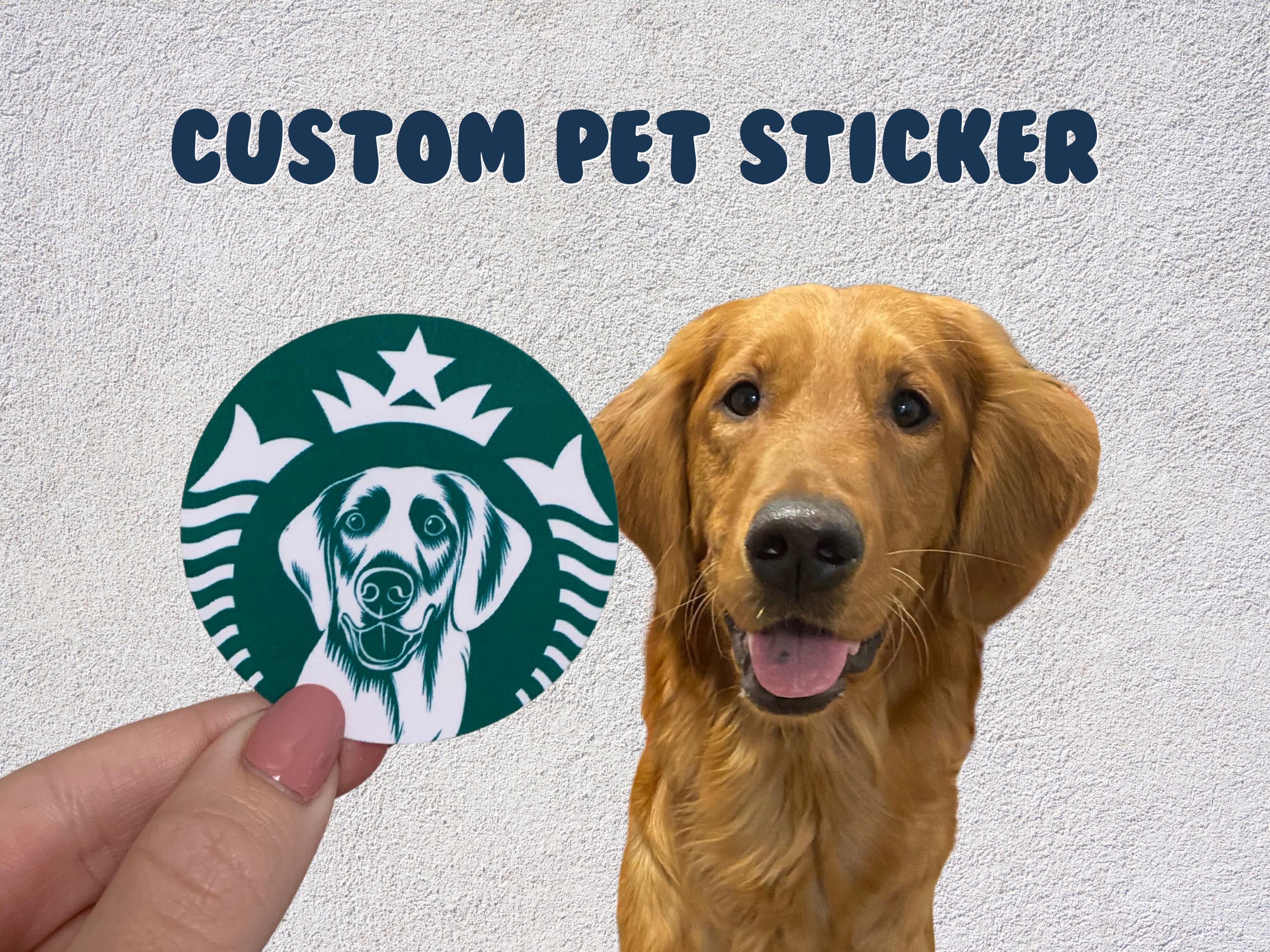 Starbucks Dog Tag