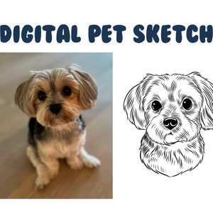 Digital Pet Outline (DETAILED) - Custom Pet Illustration, Dog Cat Bunny Hamster Outline Drawing, Pet Line Art, Dog Wedding Art, Pet Artwork