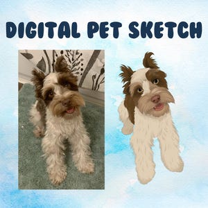 Air Brush Pet Illustration - Dog Cat Bunny Cartoon Art, Custom Pet Drawing, Dog Doodle, Wedding Art, Pet Profile Picture, Pet Watercolor Art