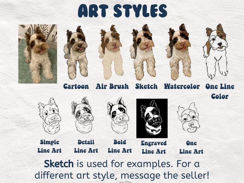 May include: A comparison of different art styles for pet portraits. The styles include cartoon, airbrush, sketch, watercolor, one line color, simple line art, detail line art, bold line art, engraved line art, and one line art. The text "Sketch is used for examples. For a different art style, message the seller!" is at the bottom of the image.