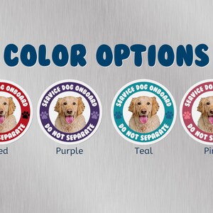 Pu&ograve; includere: Quattro adesivi rotondi con un golden retriever al centro. Gli adesivi hanno il testo "Service Dog Onboard Do Not Separate" in un cerchio attorno al cane. Gli adesivi sono disponibili in quattro colori: rosso, viola, verde acqua e rosa.