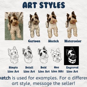 Pu&ograve; includere: Un grafico che mostra diversi stili artistici per i ritratti di animali domestici. Gli stili includono cartoni animati, schizzi, acquerelli, arte di linea semplice, arte di linea dettagliata, arte di linea in grassetto, arte di linea singola e arte di linea incisa. Il testo "Sketch is used for examples. For a different art style, message the seller!" &egrave; nella parte inferiore del grafico.