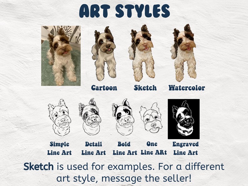 Pu&ograve; includere: Un grafico che mostra diversi stili artistici per i ritratti di animali domestici. Gli stili includono cartoni animati, schizzi, acquerelli, arte di linea semplice, arte di linea dettagliata, arte di linea in grassetto, arte di linea singola e arte di linea incisa. Il testo "Sketch is used for examples. For a different art style, message the seller!" &egrave; nella parte inferiore del grafico.