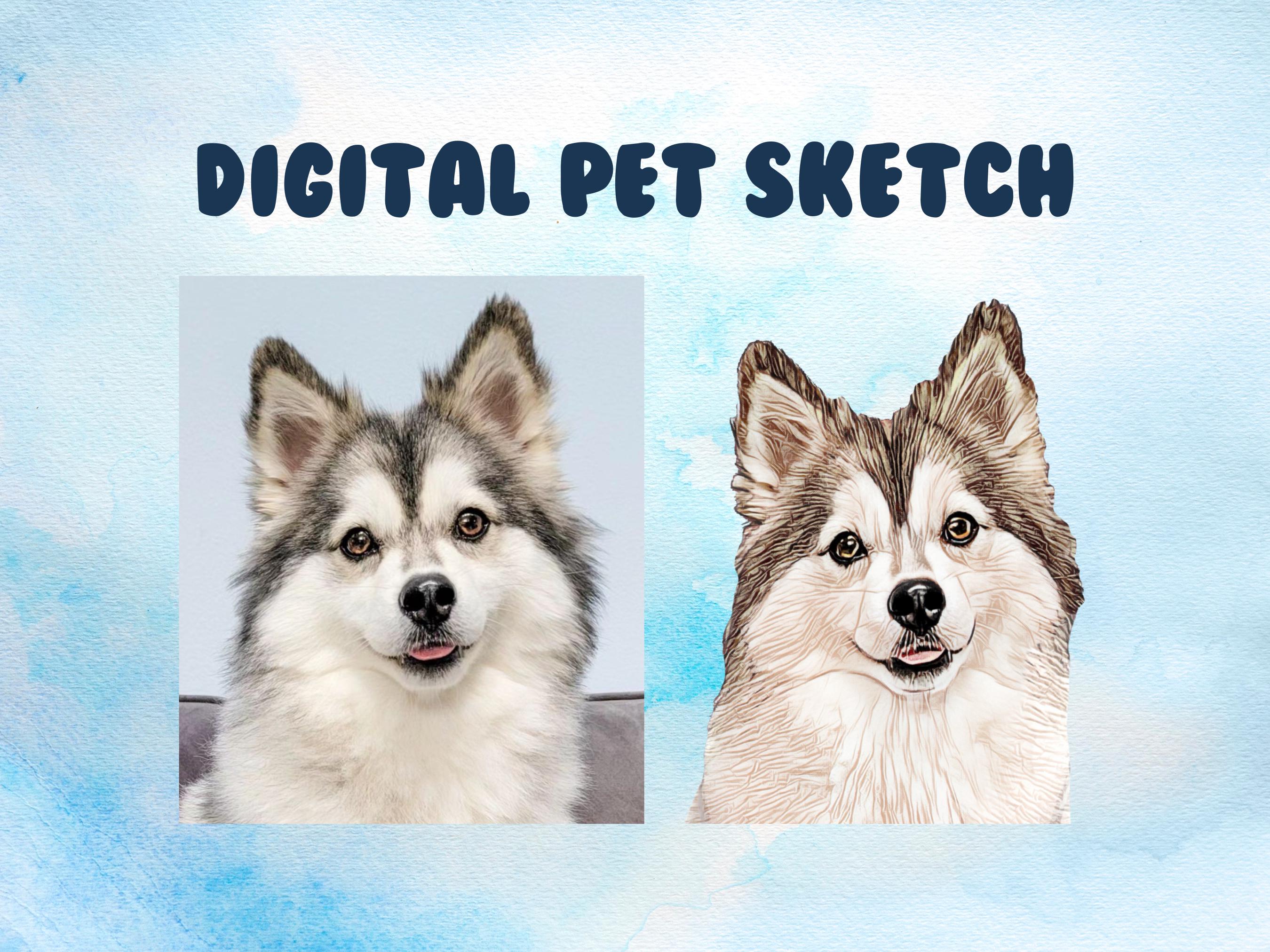Digital Pet Sketch - Custom Pet Illustration, Dog Cat Bunny Lizard Drawing, Wedding Pet Art, Custom Pet Digital Art, Pet Pop Art