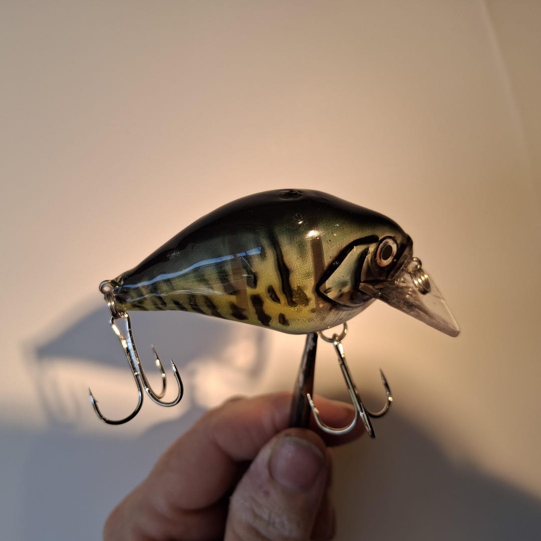 Fish Lure - Crappie Pattern Bait - Etsy