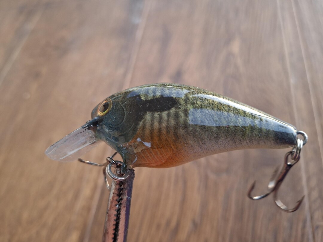 Blue Gill Pattern Fish Bait, Custom Lure - Etsy