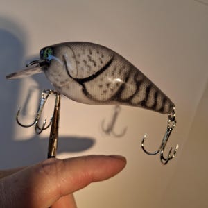 May include: A gray and black fishing lure with a realistic fish design. The lure has a clear plastic bill, green eyes, and two treble hooks. The lure is designed to attract fish.