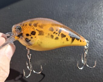 Cebo para peces: un señuelo único para las necesidades del pescador.