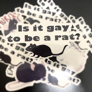 is it gay to be a rat? sticker (read disclaimer before buying)