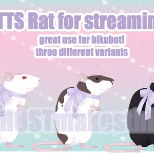 TTS rat for streaming (used with Bikubot) for twitch / youtube | THREE VARIANTS