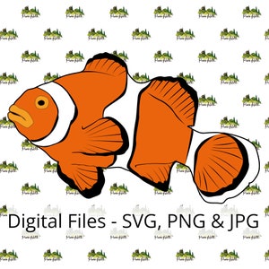 Pez payaso SVG / Pez anémona clipart / Pez payaso realista vector