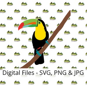 Keel-billed toucan SVG | Keel-biiled toucan clipart | Realistic toucan | Toucan png | Toucan jpg | Toucan download