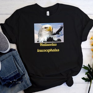 May include: Black t-shirt with a graphic of a bald eagle with the text "Haliaeetus leucocephalus" printed in yellow.