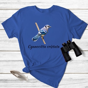 May include: A royal blue t-shirt with a blue jay perched on a branch. The bird is facing right and has a white head and chest. The text "Cyanocitta cristata" is printed below the bird.