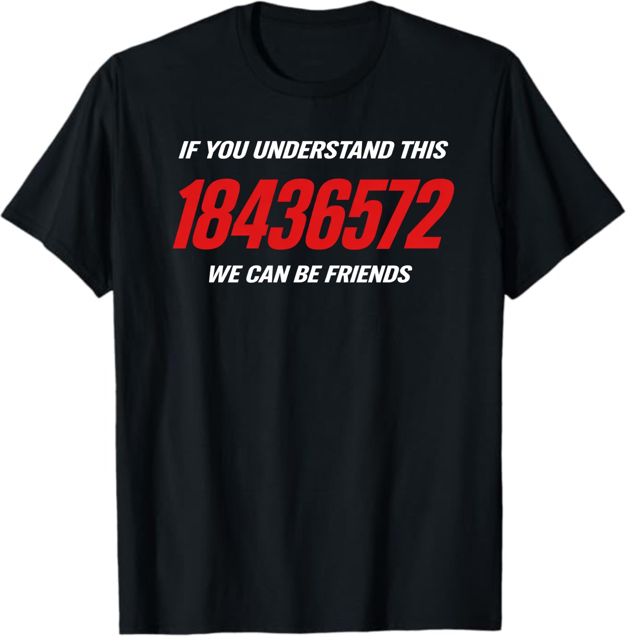 If You Understand This 18436572 We Can Be Friends T-shirt, Funny