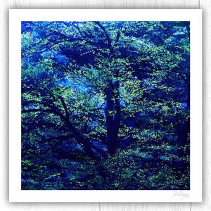 Baum Wand Kunst Blau Grün 12x12 8x8, Gepunkteter Baum Poster 24x24 Dark Moody Spring Home Decor Pointillismus Natur, Original Archival Print signiert