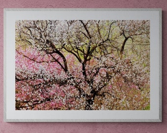 Original Pink Peach Blossom Floral Art Print 24x36 Unframed, Pastel Spring Blossom Flower Wall Art, Large Above Bed/Couch Asian Wall Decor