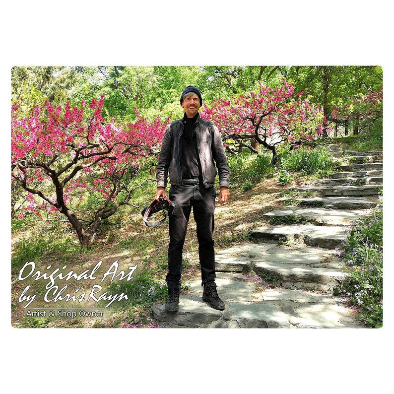 May include: A person stands on stone steps in a park, holding a camera. The person wears a black jacket, pants, and a beanie. Pink flowering trees and green foliage frame the scene. Text reads "Original Art by Chris Rayn, Artist & Shop Owner."