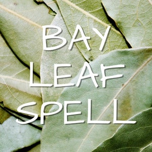May include: A close-up of a pile of dried bay leaves with the text "BAY LEAF SPELL" written in white on top.