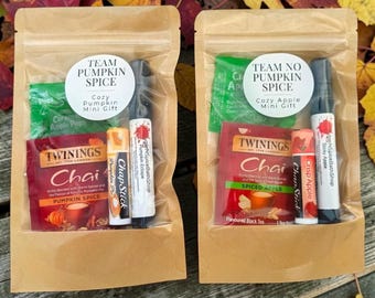 Fall Mini Reset Gift | Team Pumpkin Spice or Team No Pumpkin Spice | Tea + ChapStick + Room Spray + Candy | Cozy Autumn Gift