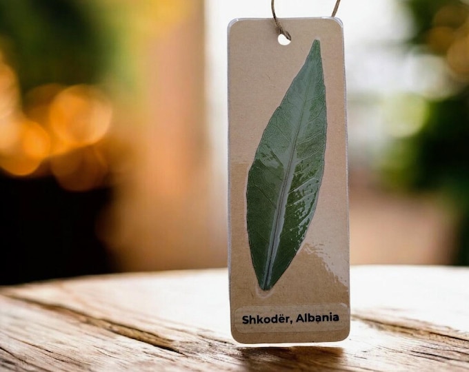 Pressed Leaf Bookmark — Handmade in Shkodër, Albania