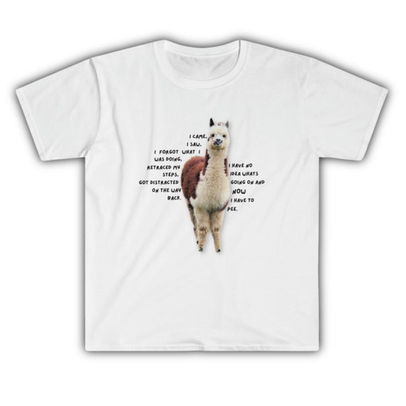 I came, I saw ADHD Humor Shirt, ADHD Awareness t shirts, t shirt, adhd adults, inattentive adhd is my superpower shirt, adhd funny t-shirt