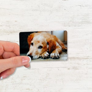 Erinnerungsgeschenk für den Verlust von Haustieren, Hund Katze Tod individuelle Foto Wallet Karte, Trauerfall, Erinnerung an Ihr Haustier, Erinnerung, Trauerfall, Erinnerung