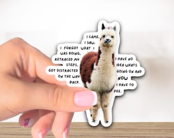 I came, I saw ADHD sticker funny, adhd awareness, adhd stickers, adhd sticker, neurodivergent, adhd adult water flask sticker laptop sticker