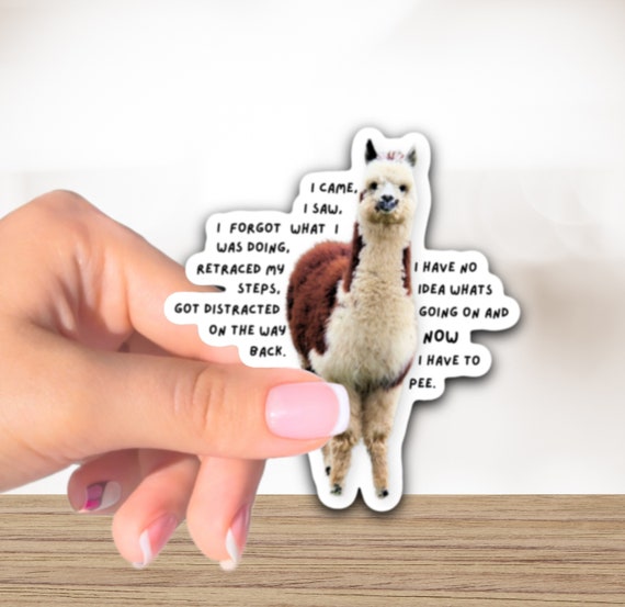 I came, I saw ADHD sticker funny, adhd awareness, adhd stickers, adhd sticker, neurodivergent, adhd adult water flask sticker laptop sticker