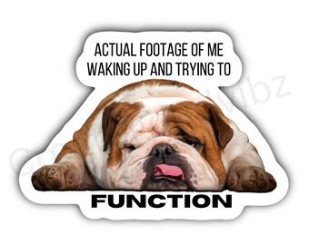 Trying to function Invisible Illness Sticker, Illness Stickers, Illness Gift, Chronic Illness Stickers, Chronic Illness Sticker, Spoonie