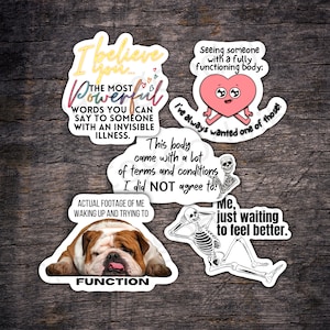 5 Pack Spoonie Stickers, Invisible Illness Sticker, Illness Stickers, Illness Gift, Chronic Illness Stickers, Chronic Illness Sticker