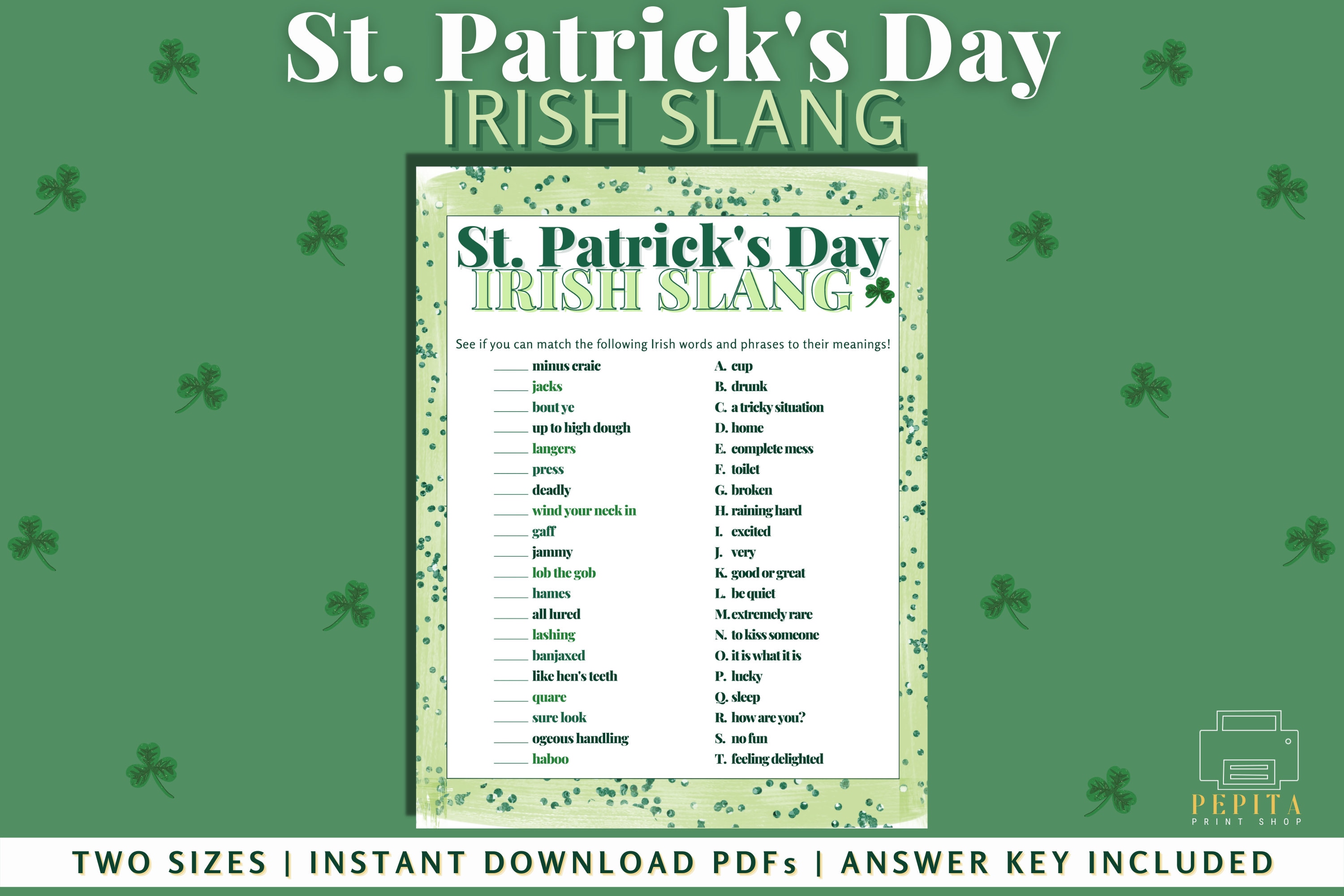 ST. PATRICK'S DAY Irish Slang - Adult Edition