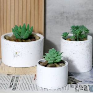 May include: Three white ceramic planters with a speckled finish, each containing a different type of green succulent plant. The planters are arranged in a staggered formation on a wooden surface.