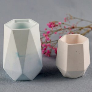 Peut inclure: Deux pots en béton géométriques, l'un bleu clair et l'autre rose clair, avec une brindille de fleurs roses en arrière-plan.