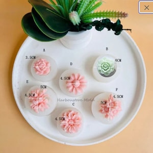 May include: A white ceramic plate displays six floral-shaped molds in various designs and sizes. The molds are in shades of pink and green, with measurements in centimeters. A small succulent plant sits above the plate.