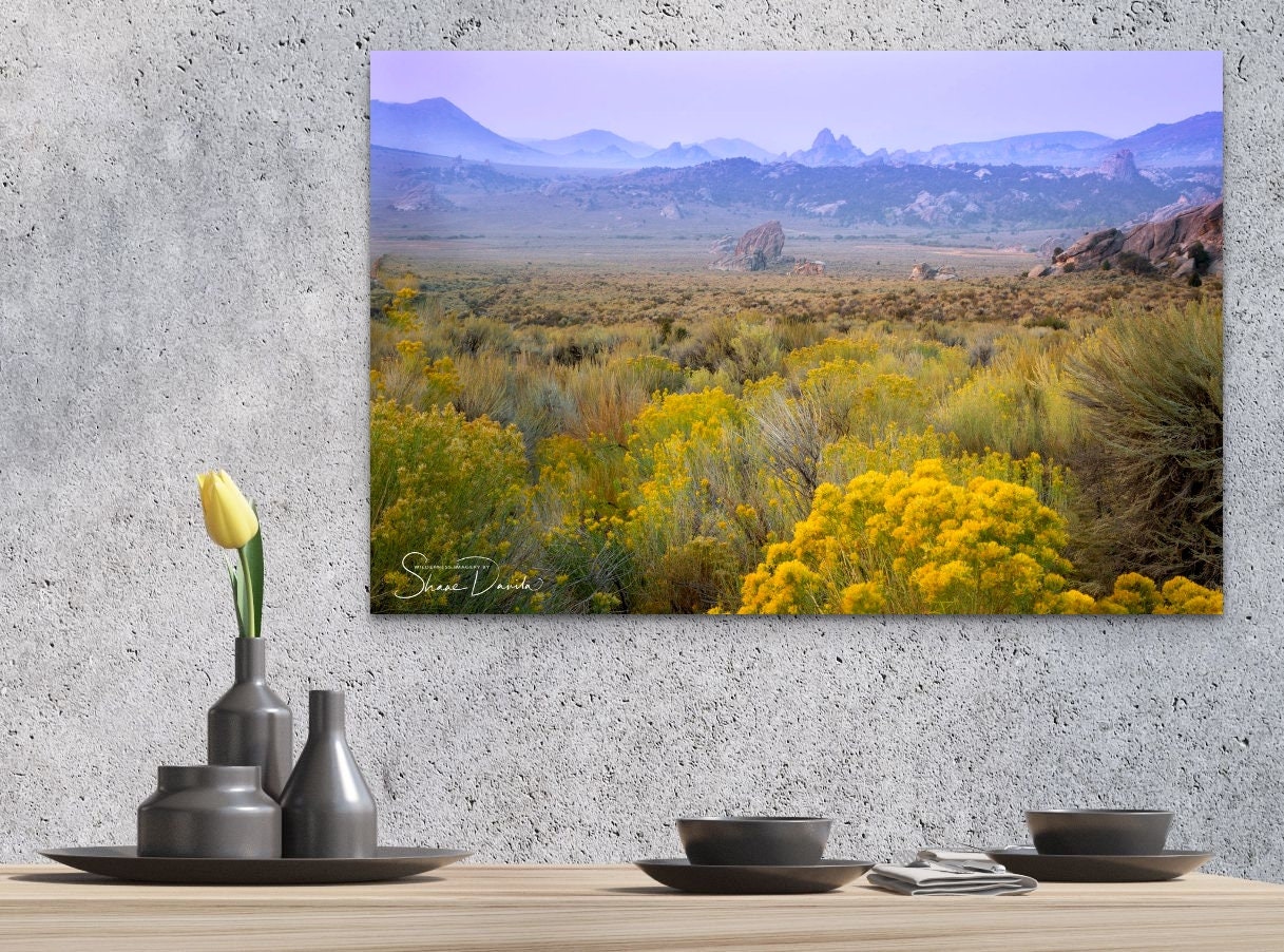 Idaho Scenic Wall Art Decor, Sagebrush Steppe, Natural Wall Decor