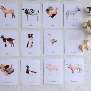 16 carte Montessori - Animali da fattoria - Francese - Immagini classificate - Acquerello - IEF - Scuola domiciliare