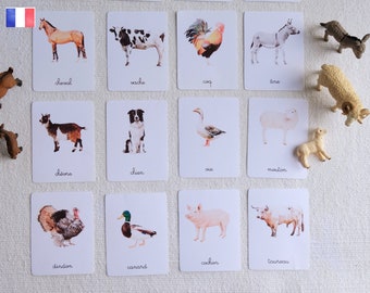 16 Montessori Cards - Farm Animals - French - Classified Images - Watercolor - IEF - Homeschool